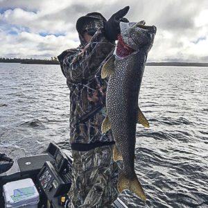 big lake trout, big fish