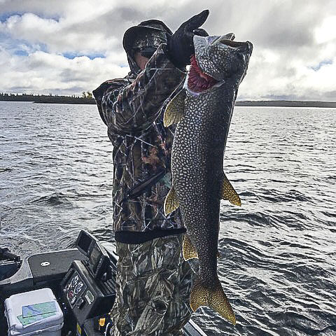 big lake trout, big fish